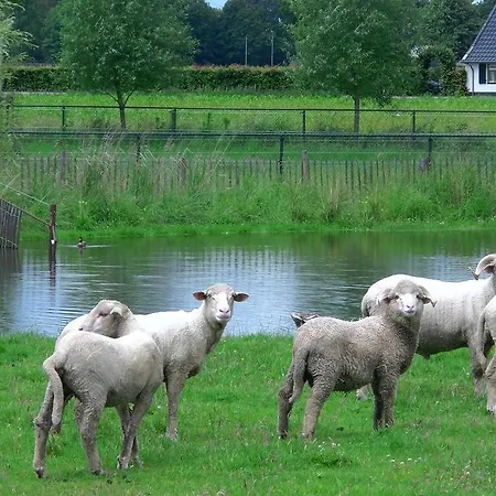 De Turfstaeker